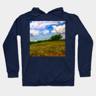 Summertime at Fort Hill Hoodie